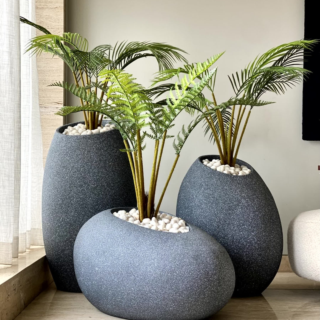 Planters in Bangalore